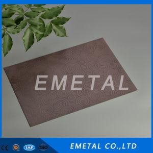 Inox Cold Rolled 201 304 Etching Design Finish Color PVD Plating Decorative Stainless Steel Sheet / Plate