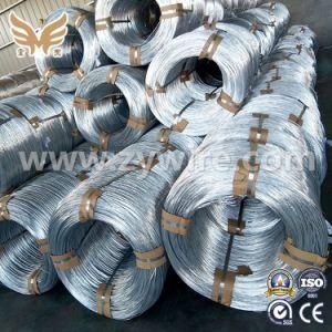 High Quality Hot DIP Galvanized Wire From China Supplier