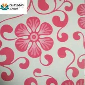 Color Coated Steel Coil PPGI for Building Material &amp; Decoration