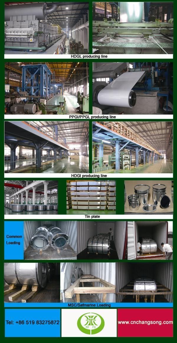 Galvalume Steel Coil (GL coil&sheet)