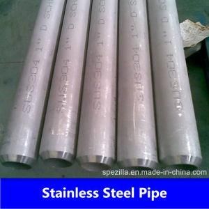 China Supplier Stainless Steel Pipe (304L)