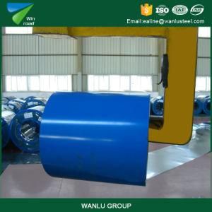 Color Coated Galvanized Steel Coil with 30 Years Experience
