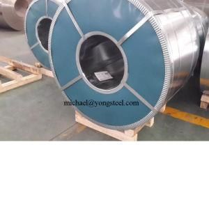 Tin Coated Steel Galvanized Steel Gi Coils for Ceiling Profiles Prepainted Coil for K Span Roofing