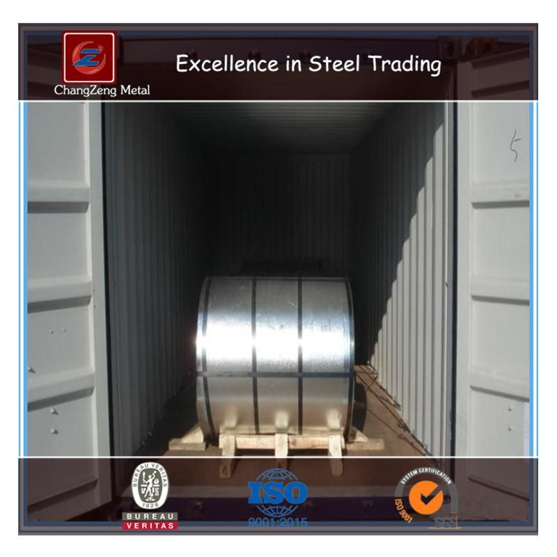 Hot Sales Color Steel Coil with High Quality Material for Sales