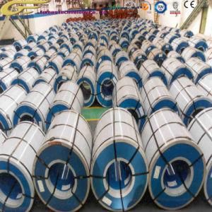 Professional Steel Metal Building Materials Color Coated Galvanized Steel Coil