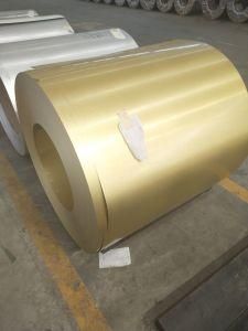 Gi/Gl/PPGI/PPGL/Galvanized /Galvalume Steel Coil with Color Afp Building/Roofing Material