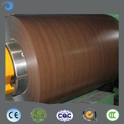 Prepainted Color Coated Steel Coil PPGI or PPGL Color Coated Galvanized Steel