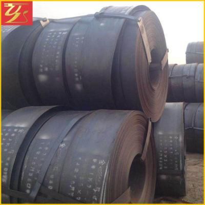 Ss400 Q235B A36 11.75*1250 11.75*1500 Hot Rolled Steel Coil