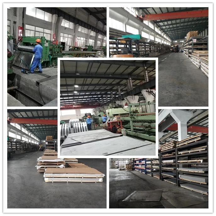 Building Material Prepainted Steel Coil (CZ-G09)