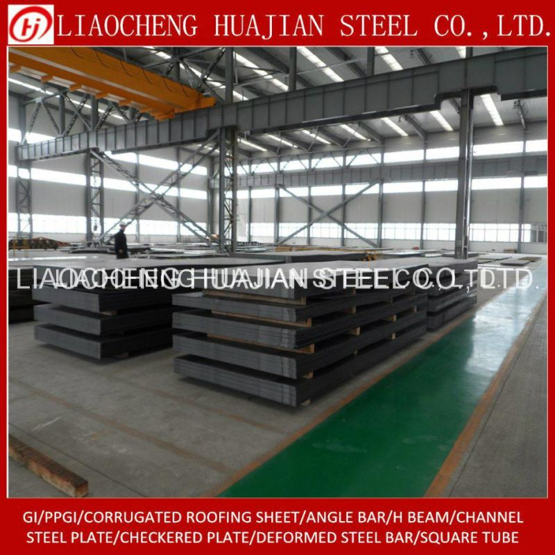 Hot Rolled Carbon Steel Coil for Building