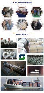 Galvanized Steel (GI) /Galvanized Coils/Galvanized Steel Sheet/PPGI PPGL