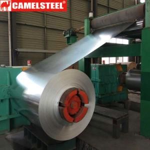 Camel Steel Best Quality Gi Gl Steel Sheet Steel Coil for Sale