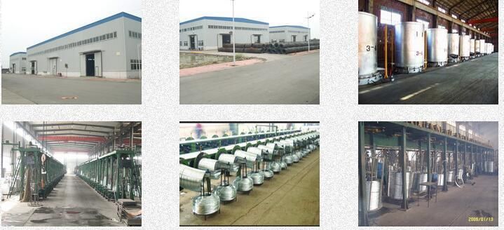 China Factory High Quality Galvanized Wire- Barbed Wire & Chainlink Production