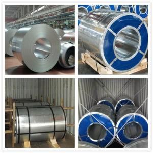 Prime Quality Galvanized Steel Coil with Zinc Coating 180g