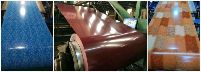 Prepainted Gi Steel Coil PPGI PPGL Color Coated Galvanized Steel Sheet in Coil