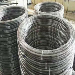 ASTM 2205 3/8&quot;*0.049&quot; Seamless Stainless Steel Coil Tubes