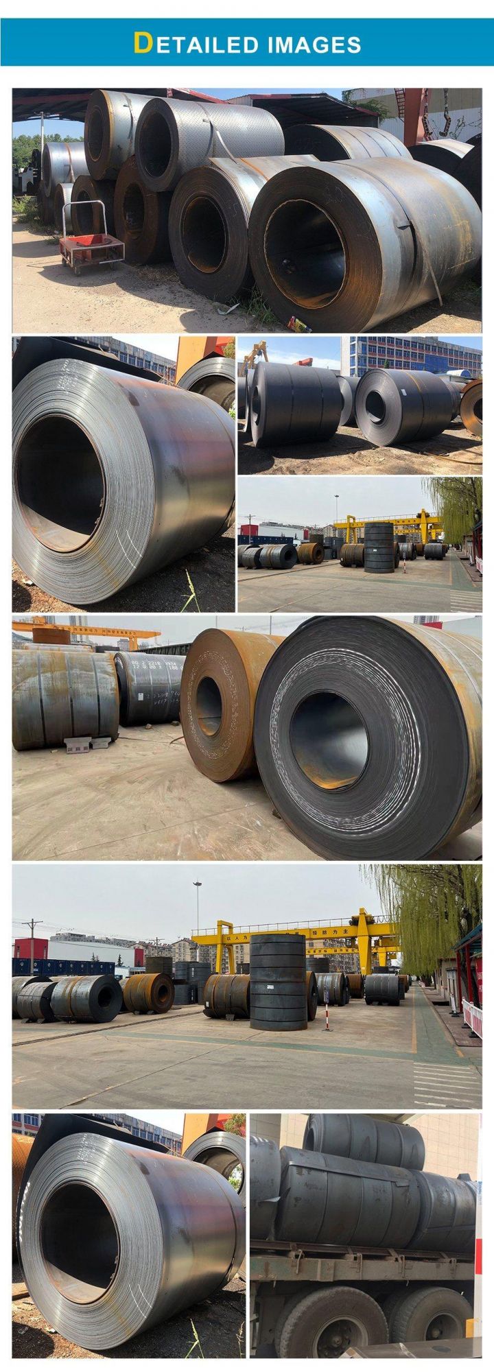 ASTM A36 Q235 Ss400 Hot/Cold Rolled Carbon Steel Coil