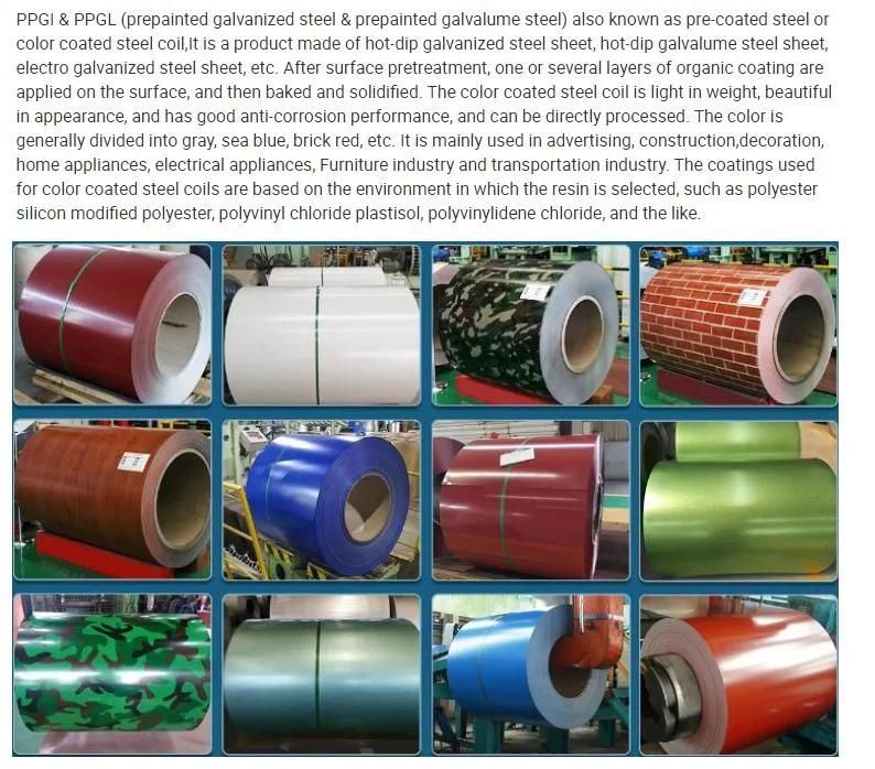 Galvanized Steel Coil, SGCC, Dx51d and Q195, PPGI Sheets Galvanized Steel Coil