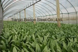 ERW/Electric Resistance Welded Greenhouse Galvanized Carbon Steel Pipe Made in China
