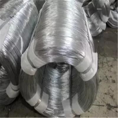 Best Sales Galvanized Steel Wire in Coils