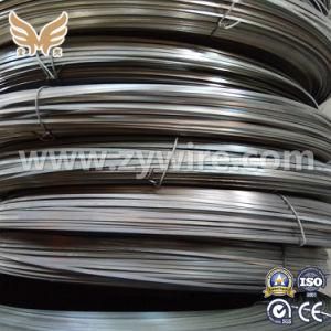 High Precision Flat Steel Wire /Galvanized Flat Wire