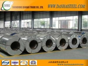 Gi Steel Coils/Plates Galvanized Steel Coil