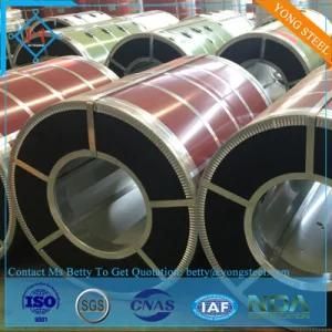 Pre-Painted Galvanized/ Galvalume Steel Coil (PPGI PPGL)