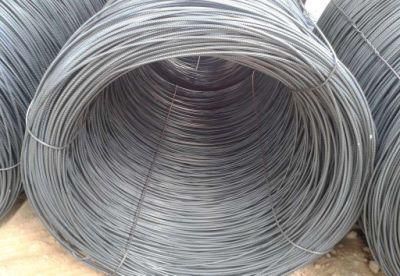 Rolling Mill Ms Wire Rod 5.5mm 6.5mm! SAE 1006 SAE 1008 Low Carbon Hot Rolled Steel Ms Wire Rod Price in Coils