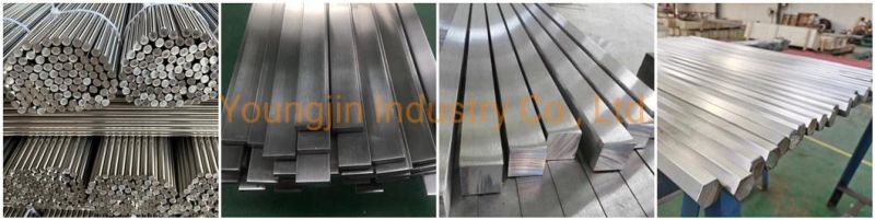 Stainless Steel Ribbed Rung 201 304