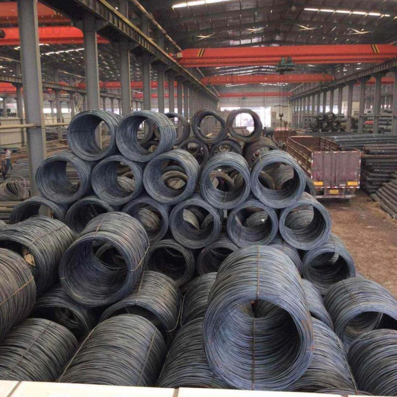 Made in China ASTM A36 Ss400 S235 S355 St37 St52 Q235B Q345b Carbon Steel Coil