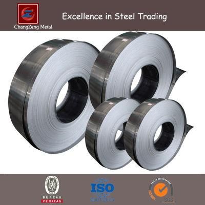 Ba Stainless Steel Strips in Coils (CZ-C87)