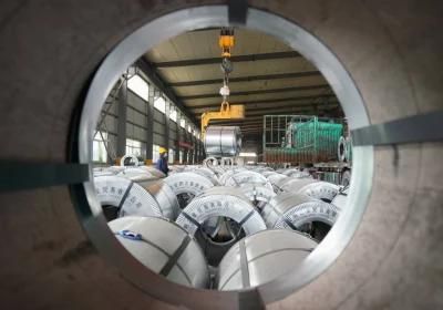 Cold Rolled Carbon Steel Coi 65mn Q235 40mn T9 T11 T10 T12 Q235B Q345b SPHC Ss400 Carbon Galvanized Gi Steel Coil for Building Materials