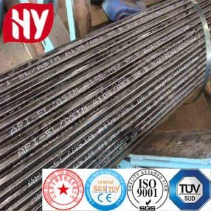 API 5L Bn Psl2 Steel Seamless Pipe/Tube, Petroleum Gas Oil Steel Tube Price