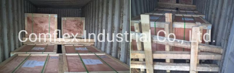 China Stainless Steel Coil Strip for Water Hose