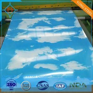 PPGI PPGL Prepainted Gi Gl Roofing Tile