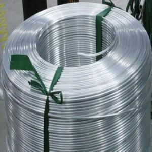 AISI Stainless Steel Coil Pipe/Tube
