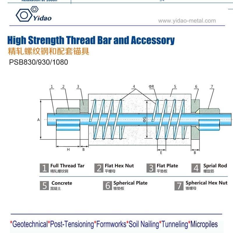 Tuerca Base Hex Nut for Formwork Tie