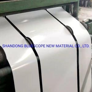 ISO Building Material Steel Coil PPGI Ral Color Prepainted Galvanized Steel Coil