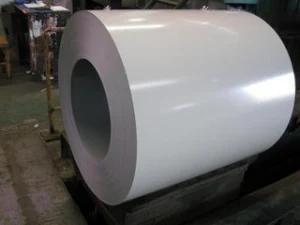 Prepainted Steel Coils with White Color