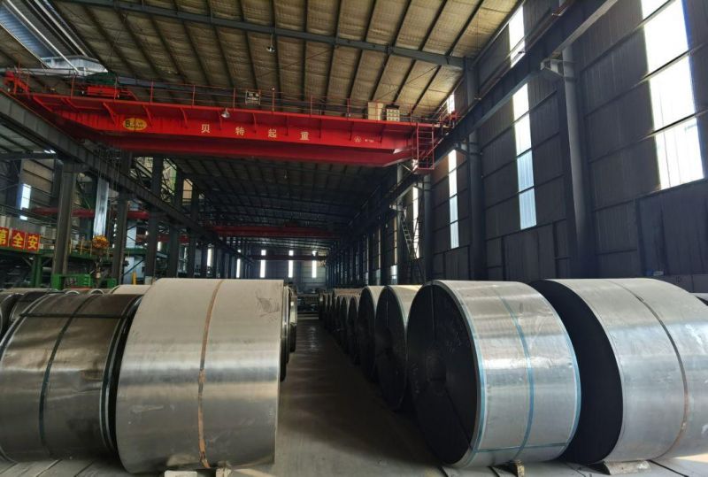 JIS G3302 Zinc Coated Steel Coils, Oiled (z100-120g sqm) for Production Refrigerator