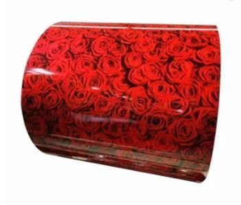 Prime Prepainted Galvanised Flower Design Colored Galvanized Plate PPGI Steel Coils