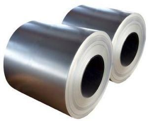 Professional Manufacture Galvanized Steel Coils