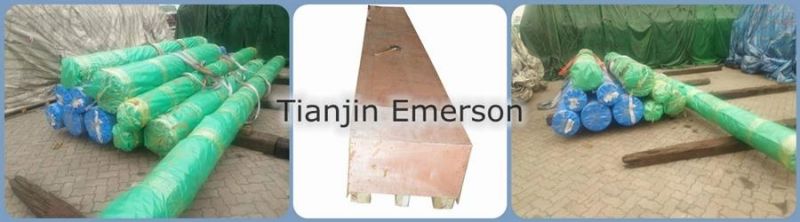 SAE 1045 1020 Hot Rolled Iron Carbon Steel Round Bars Round Steel Bar