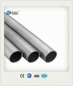 High Quality Duplex 201 304L 316L 309S 310S 2205 Seamless and Welded Stainless Steel Tube Pipe