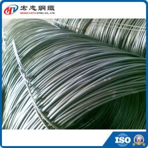 Hot Rolled Carbon Steel Wire Rod