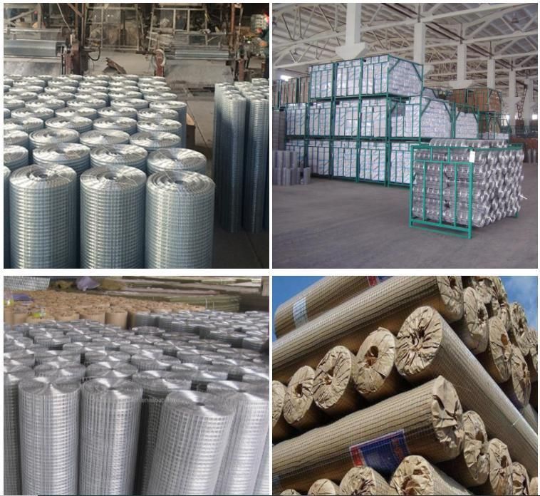 Factory 1/4 Inch 1/2inch Wire Mesh Stainless Steel Welded Iron Wire Mesh/Wire Mesh Welded Netting