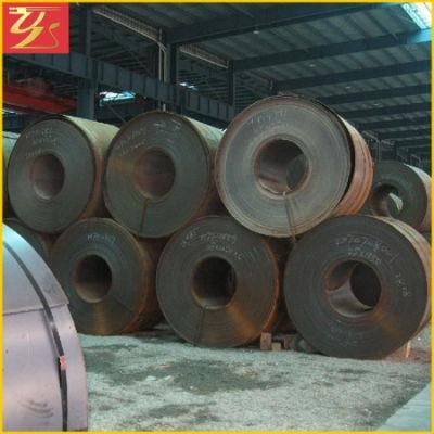 Prime Ss400 Q235B Q355b Hot Rolled Steel Coil