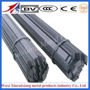 304L China Supplier Stainless Steel Flats for Construction
