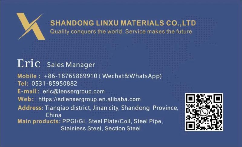 PPGI/HDG/Gi/Secc Dx51 Zinc Cold Rolled/Hot Dipped Galvanized Steel Coil/Sheet/Plate/Strip