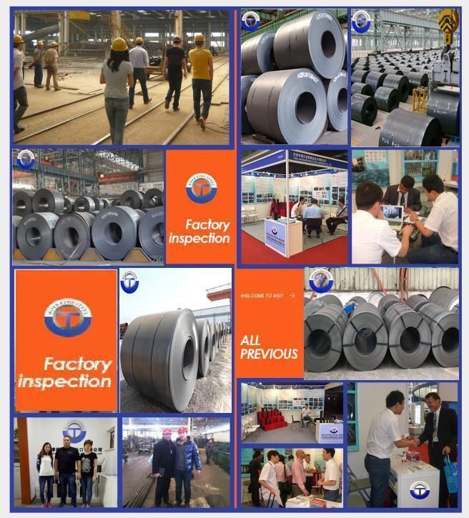 Building Material Strip ASTM A36 S355jr S275jr S235jr Hot Cold Rolled Mild Spring Steel Coil Sheet Plate